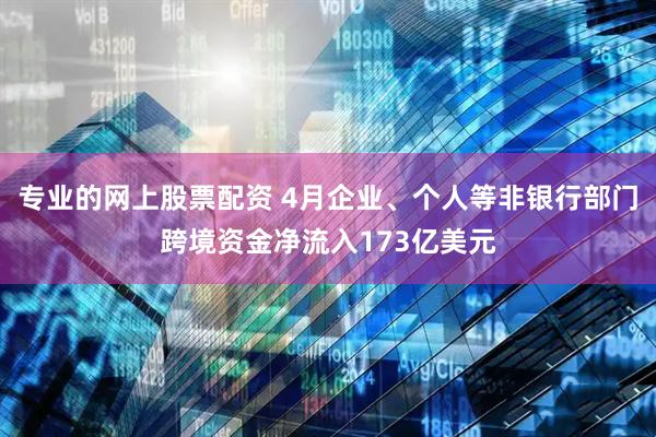 专业的网上股票配资 4月企业、个人等非银行部门跨境资金净流入173亿美元